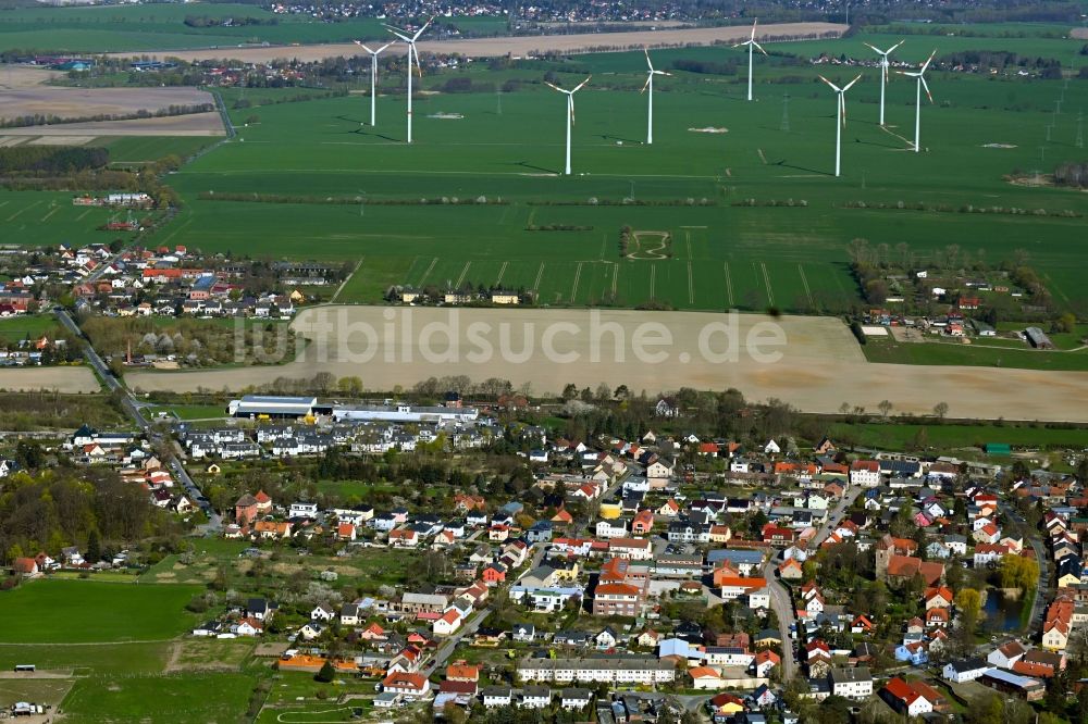 Luftbild Blumberg - Ortsansicht am Rande von landwirtschaftlichen Feldern in Blumberg im Bundesland Brandenburg, Deutschland
