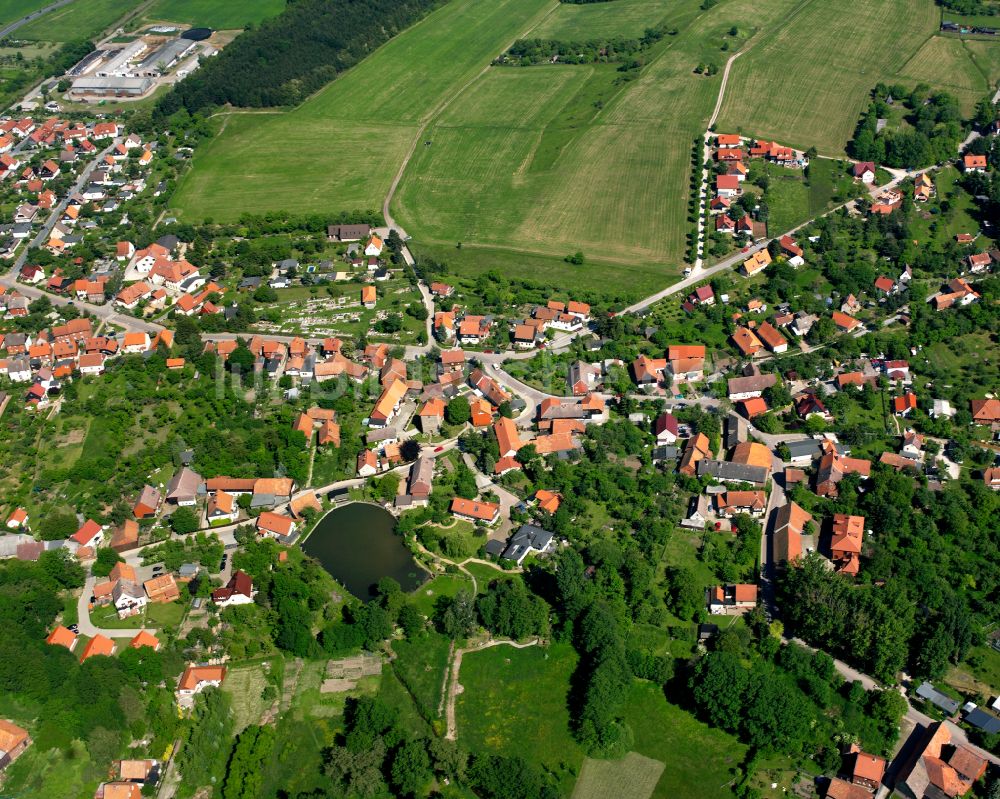 Darlingerode aus der Vogelperspektive: Ortsansicht am Rande von landwirtschaftlichen Feldern in Darlingerode im Bundesland Sachsen-Anhalt, Deutschland