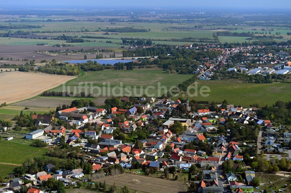 Luftbild Drosa - Ortsansicht am Rande von landwirtschaftlichen Feldern in Drosa im Bundesland Sachsen-Anhalt, Deutschland