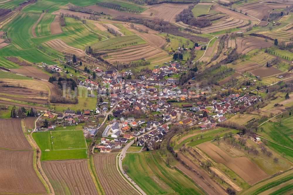 Ettenheimweiler aus der Vogelperspektive: Ortsansicht am Rande von landwirtschaftlichen Feldern in Ettenheimweiler im Bundesland Baden-Württemberg, Deutschland