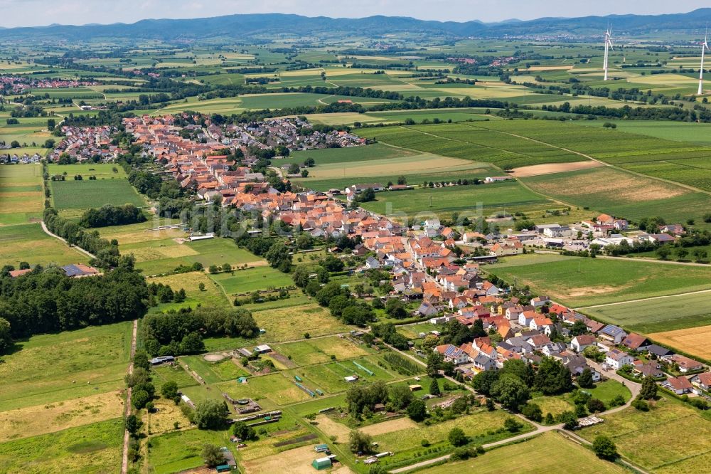 Freckenfeld von oben - Ortsansicht am Rande von landwirtschaftlichen Feldern in Freckenfeld im Bundesland Rheinland-Pfalz, Deutschland