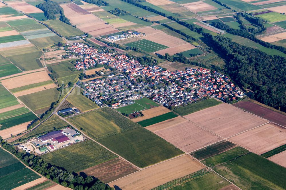 Freisbach aus der Vogelperspektive: Ortsansicht am Rande von landwirtschaftlichen Feldern in Freisbach im Bundesland Rheinland-Pfalz, Deutschland