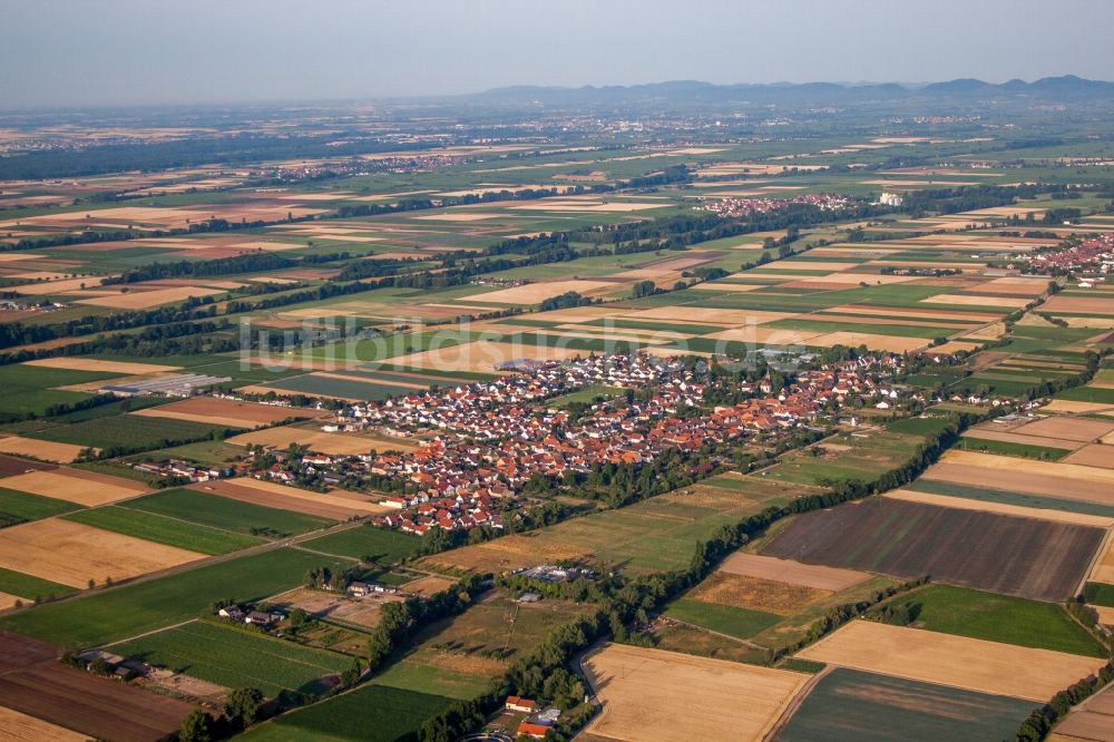 Gommersheim aus der Vogelperspektive: Ortsansicht am Rande von landwirtschaftlichen Feldern in Gommersheim im Bundesland Rheinland-Pfalz, Deutschland