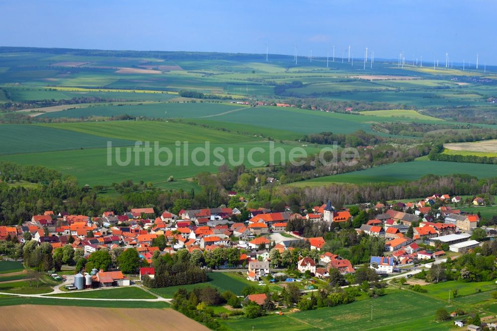 Großenehrich von oben - Ortsansicht am Rande von landwirtschaftlichen Feldern in Großenehrich im Bundesland Thüringen, Deutschland