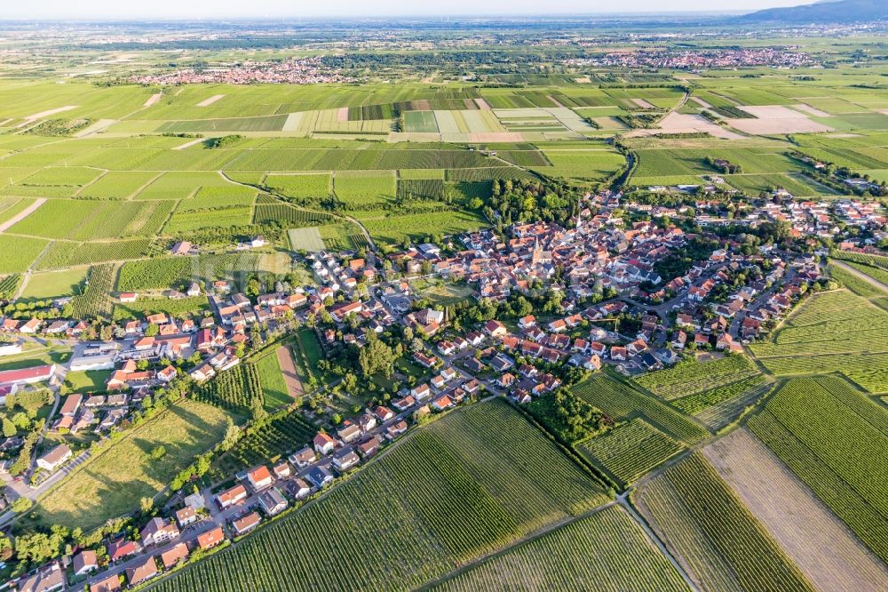 Luftbild Großkarlbach - Ortsansicht am Rande von landwirtschaftlichen Feldern in Großkarlbach im Bundesland Rheinland-Pfalz, Deutschland