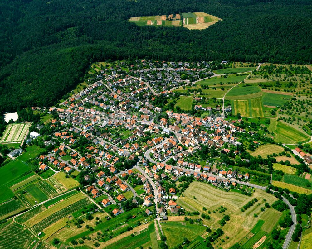 Hagelloch von oben - Ortsansicht am Rande von landwirtschaftlichen Feldern in Hagelloch im Bundesland Baden-Württemberg, Deutschland