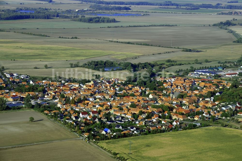 Luftaufnahme Harsleben - Ortsansicht am Rande von landwirtschaftlichen Feldern in Harsleben im Bundesland Sachsen-Anhalt, Deutschland
