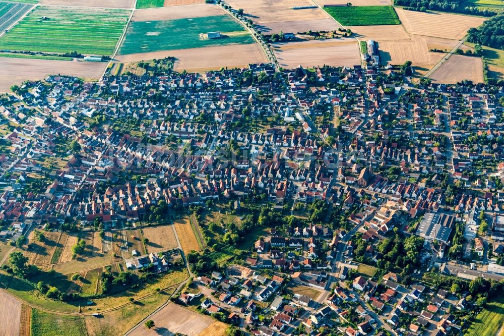 Harthausen aus der Vogelperspektive: Ortsansicht am Rande von landwirtschaftlichen Feldern in Harthausen im Bundesland Rheinland-Pfalz, Deutschland