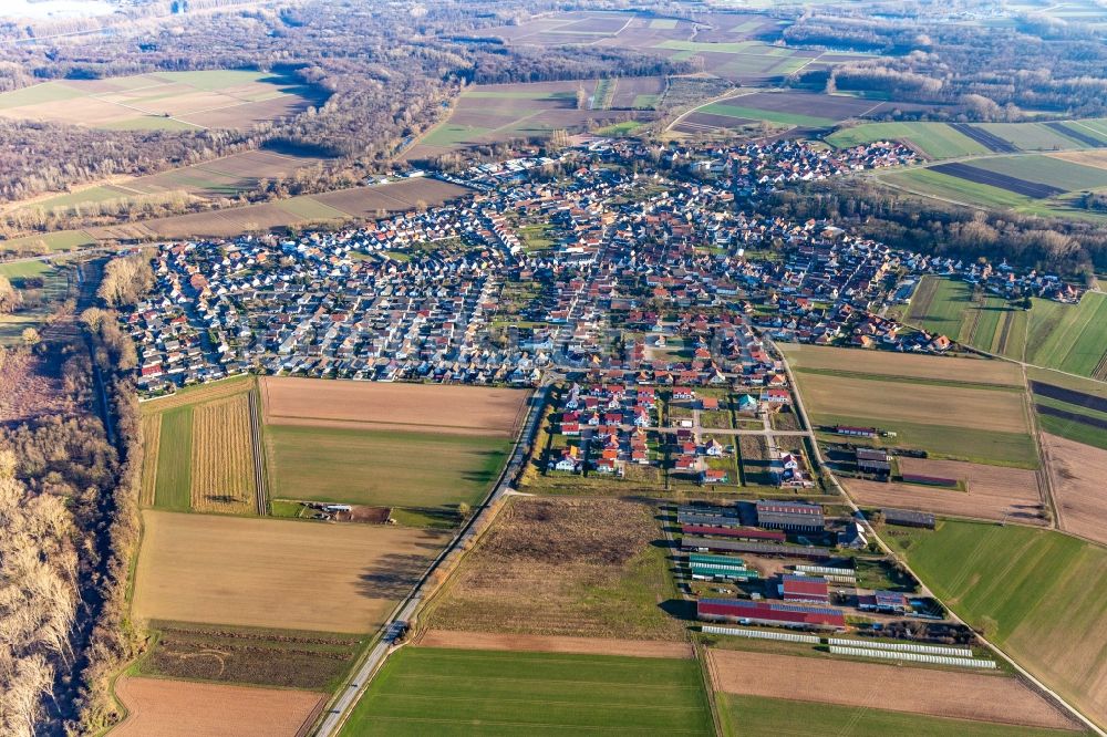 Hördt von oben - Ortsansicht am Rande von landwirtschaftlichen Feldern in Hördt im Bundesland Rheinland-Pfalz, Deutschland