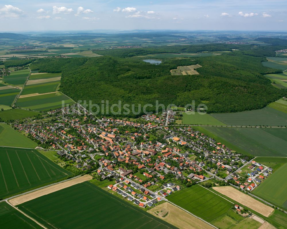 Immenrode von oben - Ortsansicht am Rande von landwirtschaftlichen Feldern in Immenrode im Bundesland Niedersachsen, Deutschland