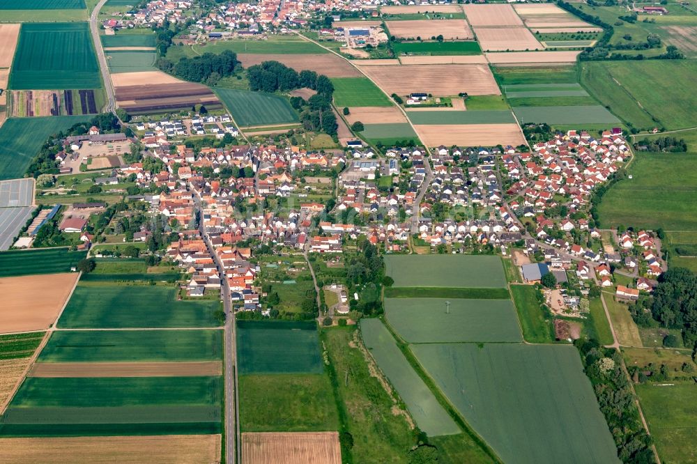 Knittelsheim von oben - Ortsansicht am Rande von landwirtschaftlichen Feldern in Knittelsheim im Bundesland Rheinland-Pfalz, Deutschland