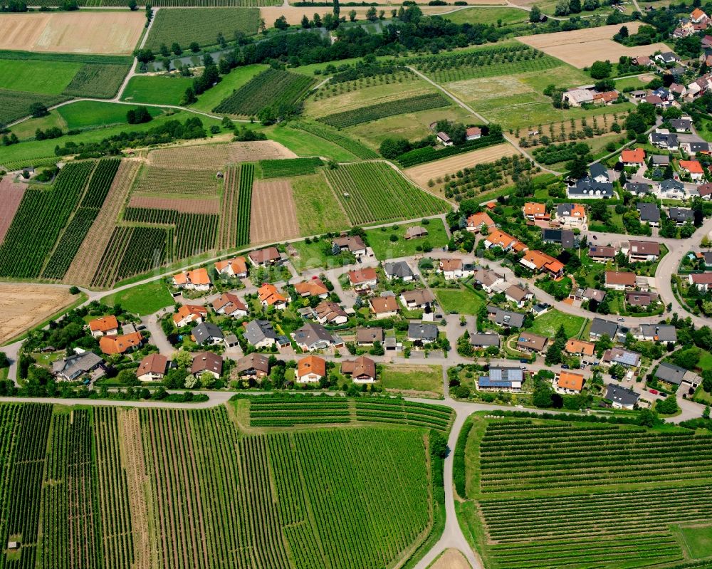 Lehrensteinsfeld von oben - Ortsansicht am Rande von landwirtschaftlichen Feldern in Lehrensteinsfeld im Bundesland Baden-Württemberg, Deutschland