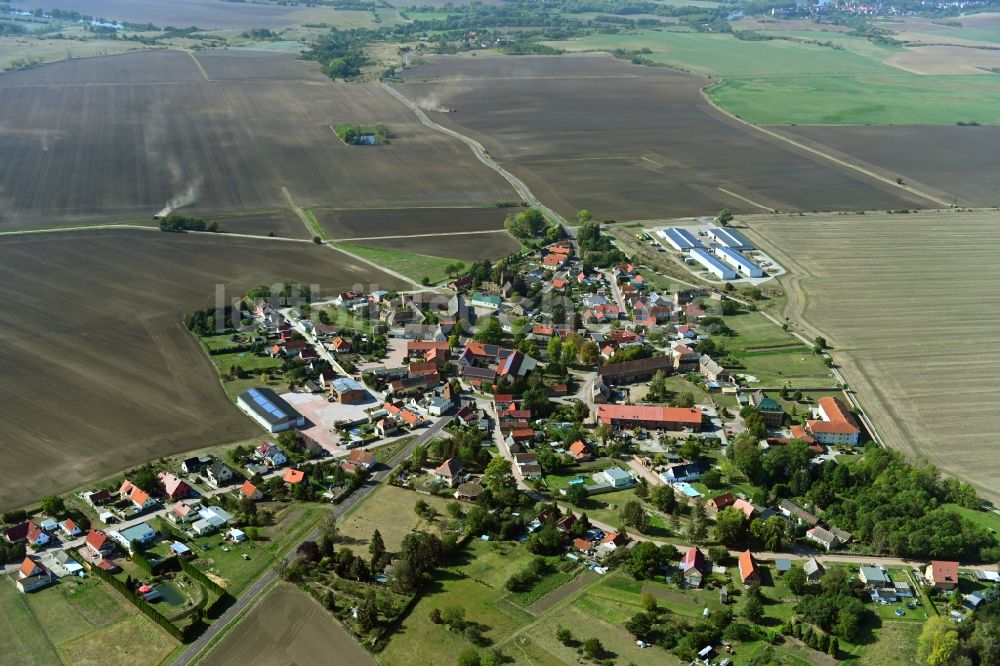 Lettewitz von oben - Ortsansicht am Rande von landwirtschaftlichen Feldern in Lettewitz im Bundesland Sachsen-Anhalt, Deutschland
