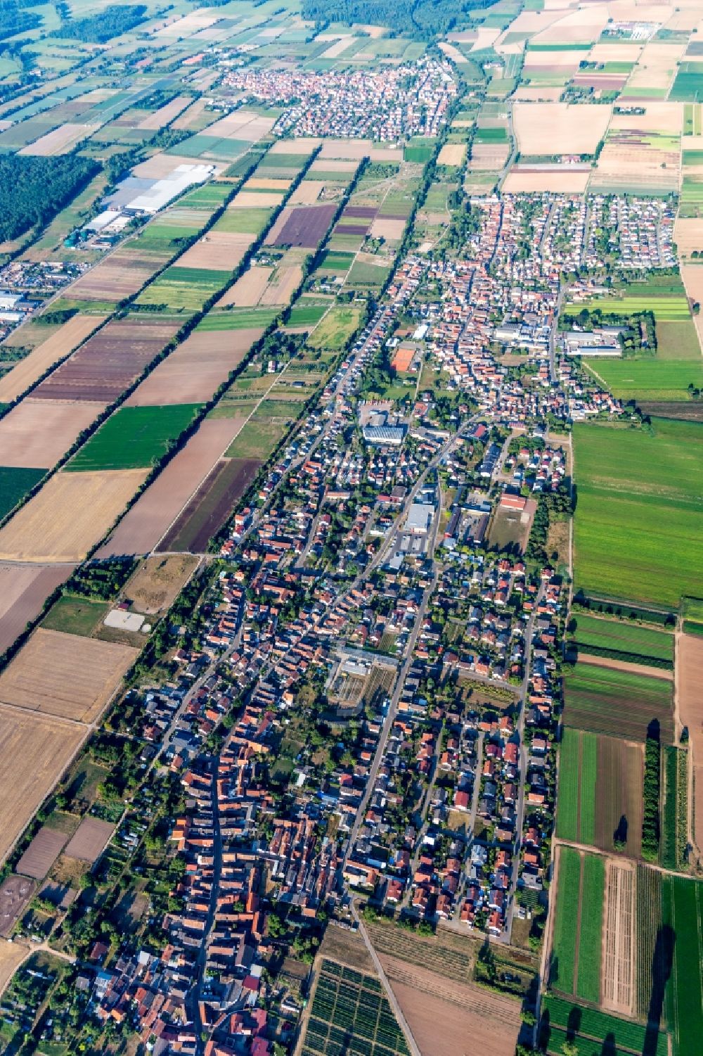 Luftaufnahme Lustadt - Ortsansicht am Rande von landwirtschaftlichen Feldern in Lustadt im Bundesland Rheinland-Pfalz, Deutschland