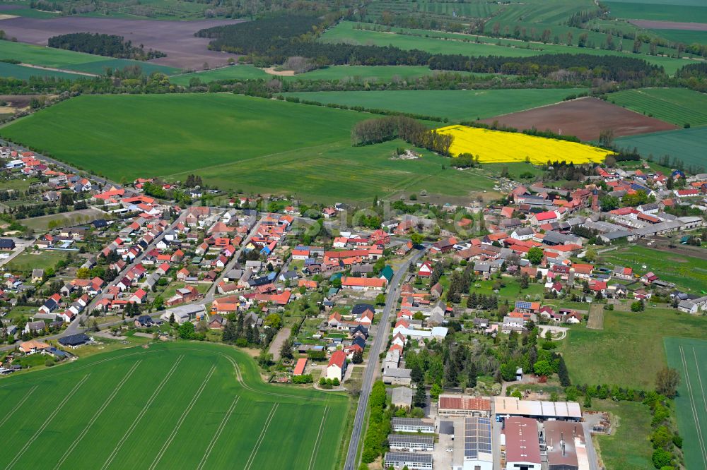 Miesterhorst aus der Vogelperspektive: Ortsansicht am Rande von landwirtschaftlichen Feldern in Miesterhorst im Bundesland Sachsen-Anhalt, Deutschland