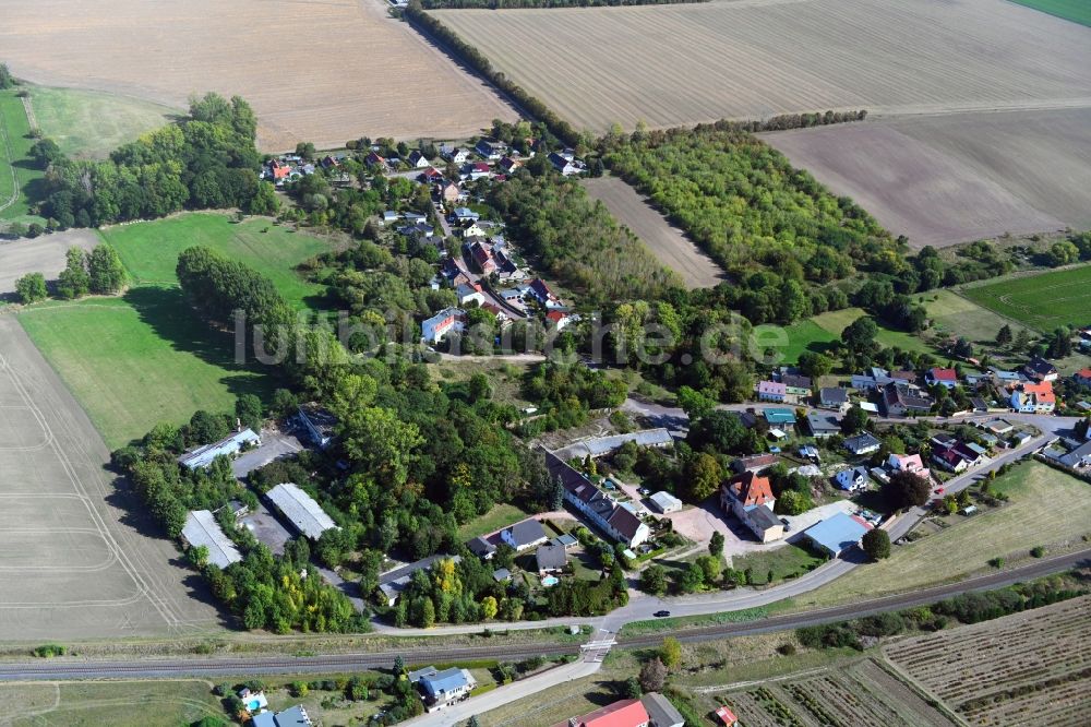 Luftbild Priester - Ortsansicht am Rande von landwirtschaftlichen Feldern in Priester im Bundesland Sachsen-Anhalt, Deutschland