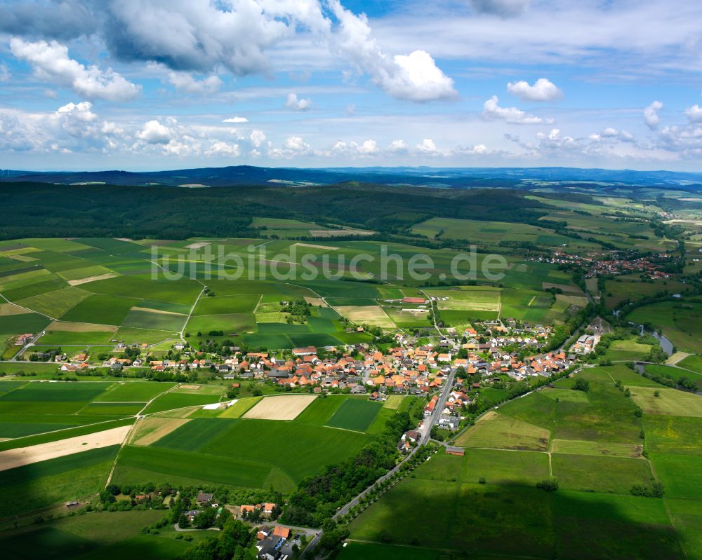 Queck aus der Vogelperspektive: Ortsansicht am Rande von landwirtschaftlichen Feldern in Queck im Bundesland Hessen, Deutschland