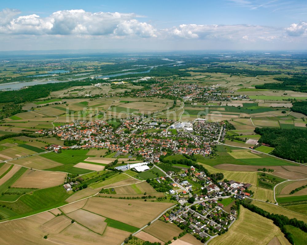 Luftbild Rheinbischofsheim - Ortsansicht am Rande von landwirtschaftlichen Feldern in Rheinbischofsheim im Bundesland Baden-Württemberg, Deutschland