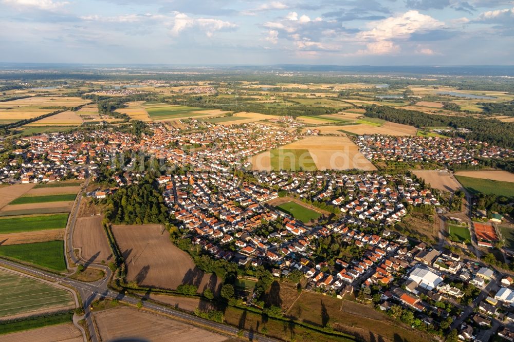 Luftaufnahme Rheinzabern - Ortsansicht am Rande von landwirtschaftlichen Feldern in Rheinzabern im Bundesland Rheinland-Pfalz, Deutschland