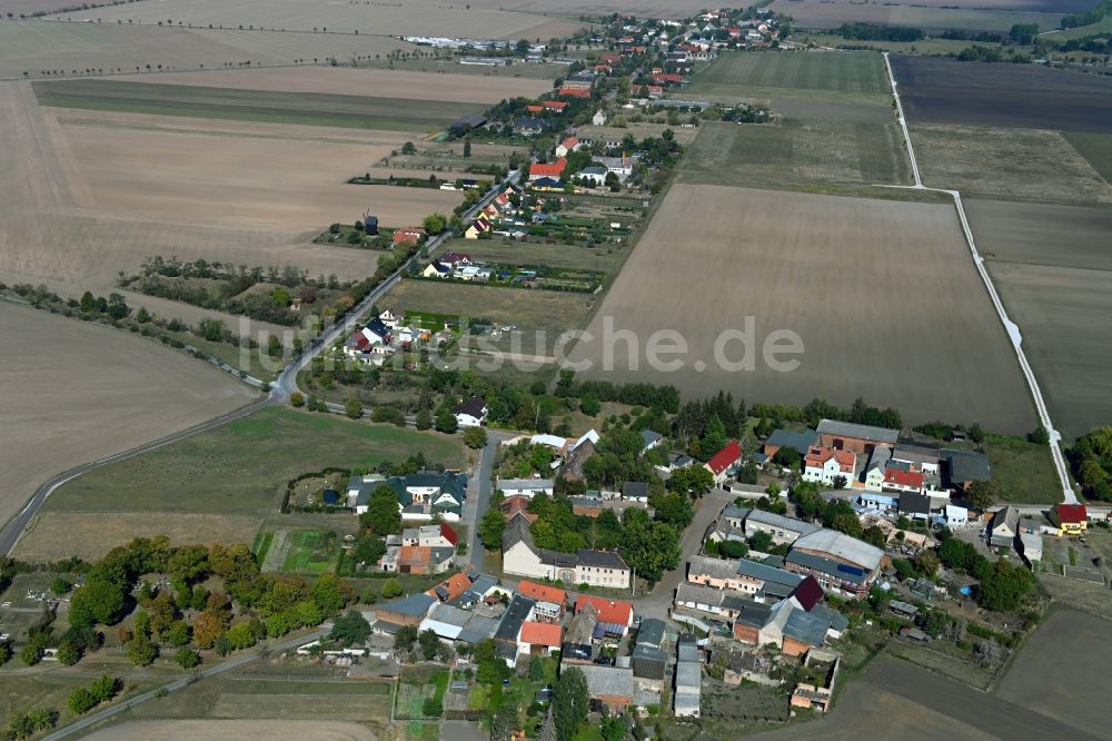 Luftaufnahme Sachsendorf - Ortsansicht am Rande von landwirtschaftlichen Feldern in Sachsendorf im Bundesland Sachsen-Anhalt, Deutschland