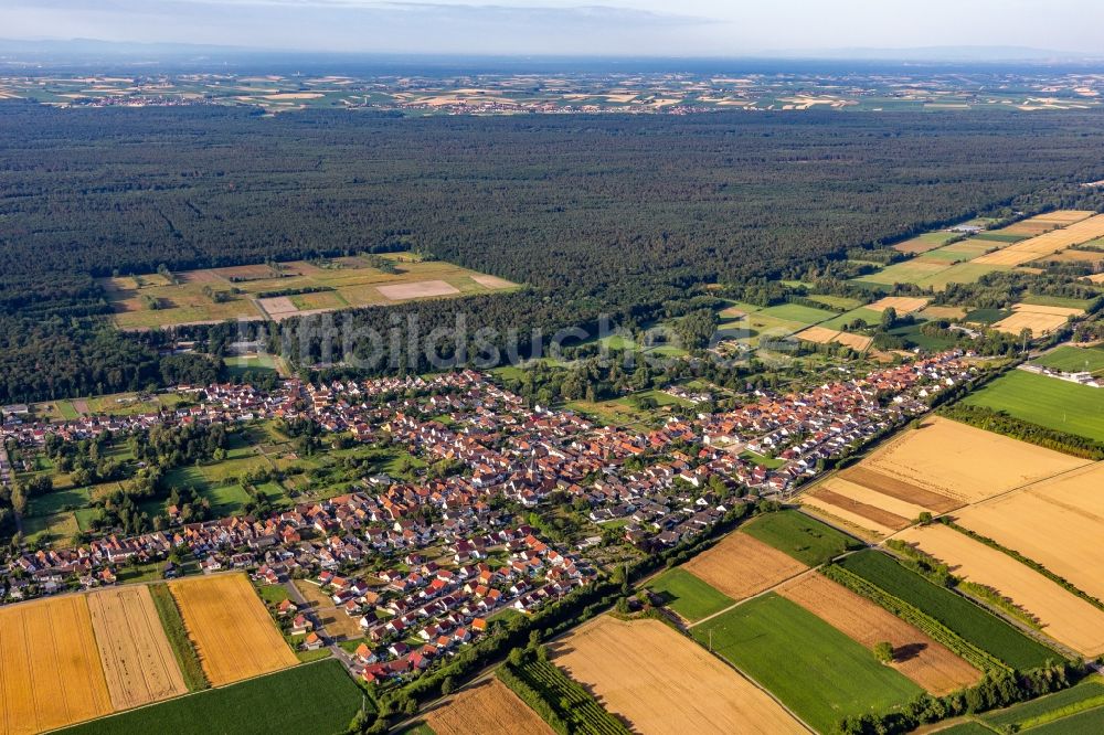 Luftbild Schaidt - Ortsansicht am Rande von landwirtschaftlichen Feldern in Schaidt im Bundesland Rheinland-Pfalz, Deutschland