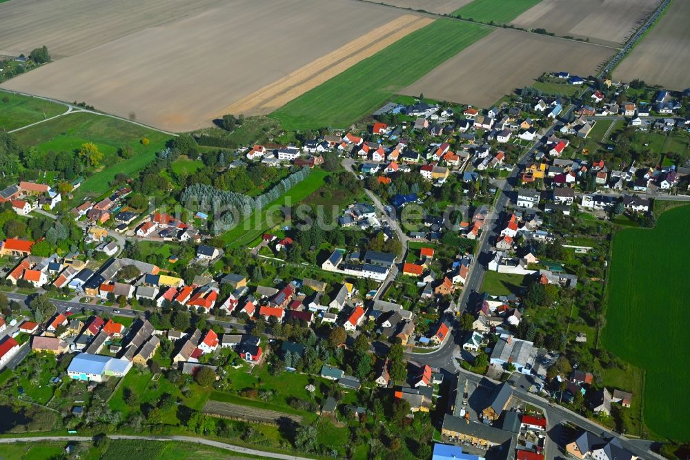 Luftbild Söllichau - Ortsansicht am Rande von landwirtschaftlichen Feldern in Söllichau im Bundesland Sachsen-Anhalt, Deutschland