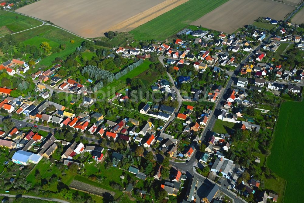 Luftaufnahme Söllichau - Ortsansicht am Rande von landwirtschaftlichen Feldern in Söllichau im Bundesland Sachsen-Anhalt, Deutschland