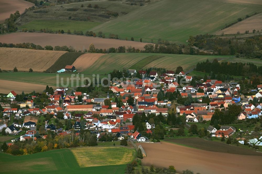 Luftaufnahme Steinthaleben - Ortsansicht am Rande von landwirtschaftlichen Feldern in Steinthaleben im Bundesland Thüringen, Deutschland