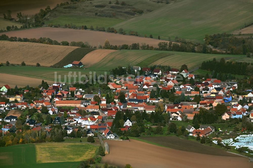 Steinthaleben von oben - Ortsansicht am Rande von landwirtschaftlichen Feldern in Steinthaleben im Bundesland Thüringen, Deutschland