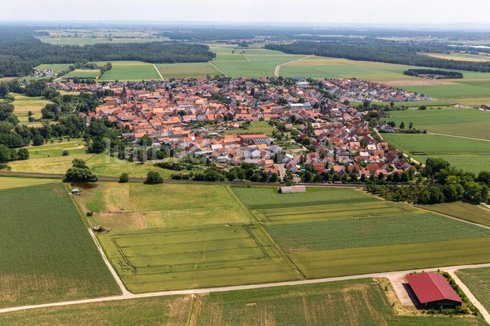 Steinweiler aus der Vogelperspektive: Ortsansicht am Rande von landwirtschaftlichen Feldern in Steinweiler im Bundesland Rheinland-Pfalz, Deutschland