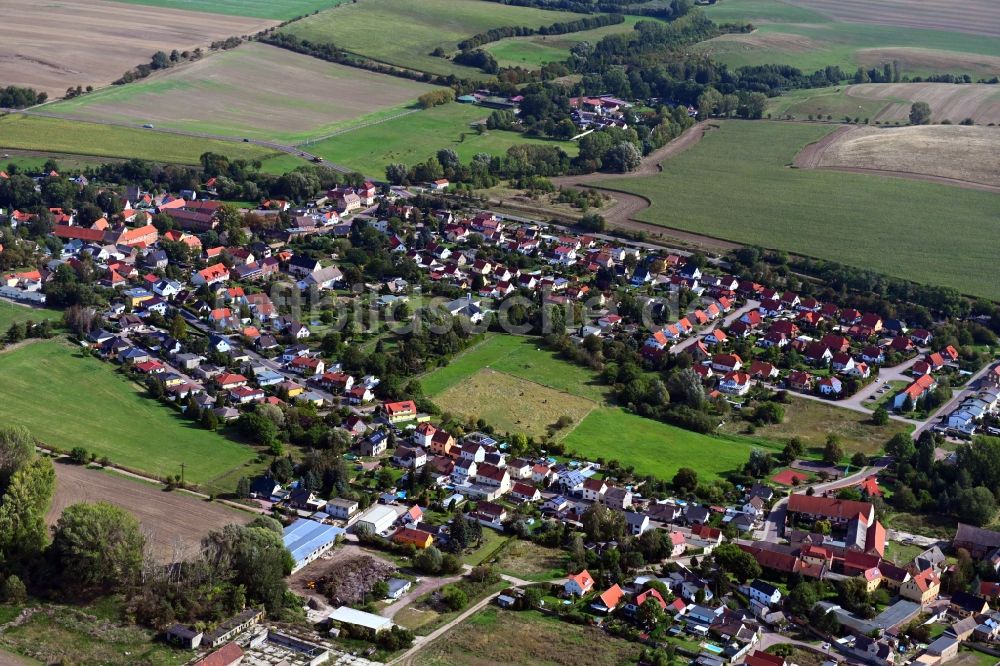 Luftbild Teicha - Ortsansicht am Rande von landwirtschaftlichen Feldern in Teicha im Bundesland Sachsen-Anhalt, Deutschland