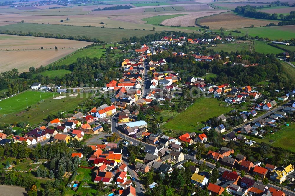 Trebitz von oben - Ortsansicht am Rande von landwirtschaftlichen Feldern in Trebitz im Bundesland Sachsen-Anhalt, Deutschland