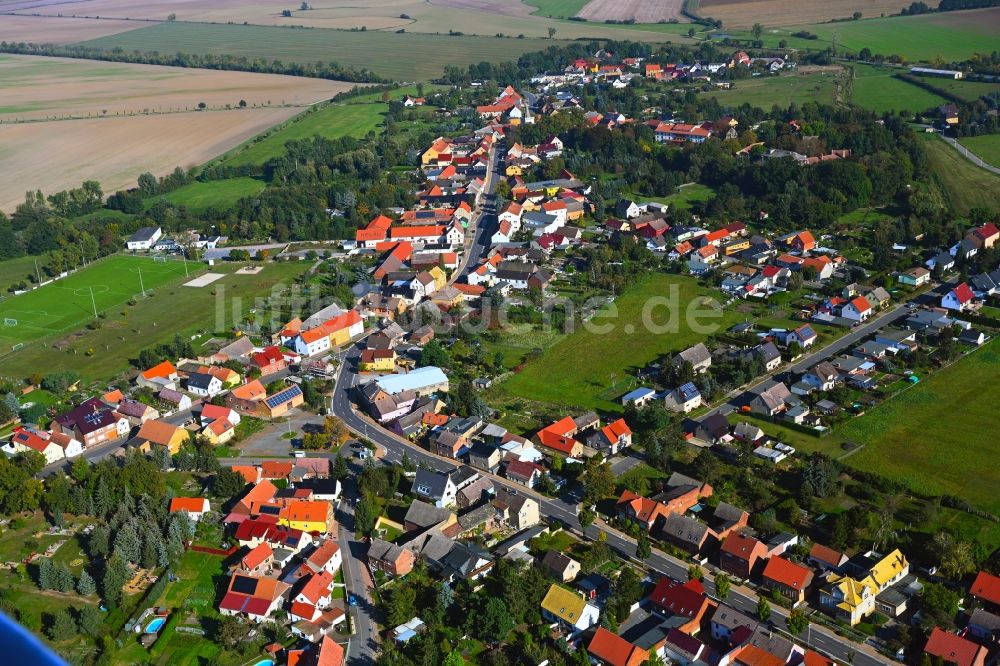 Trebitz aus der Vogelperspektive: Ortsansicht am Rande von landwirtschaftlichen Feldern in Trebitz im Bundesland Sachsen-Anhalt, Deutschland