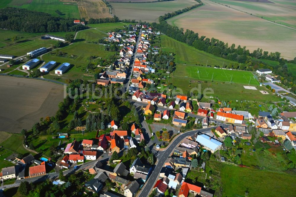 Luftbild Trebitz - Ortsansicht am Rande von landwirtschaftlichen Feldern in Trebitz im Bundesland Sachsen-Anhalt, Deutschland