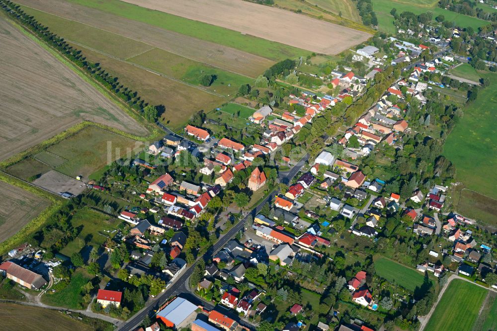 Wensickendorf aus der Vogelperspektive: Ortsansicht am Rande von landwirtschaftlichen Feldern in Wensickendorf im Bundesland Brandenburg, Deutschland