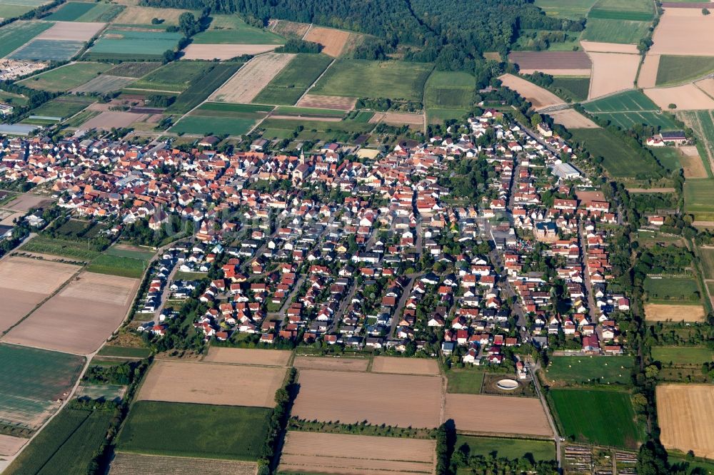 Zeiskam aus der Vogelperspektive: Ortsansicht am Rande von landwirtschaftlichen Feldern in Zeiskam im Bundesland Rheinland-Pfalz, Deutschland