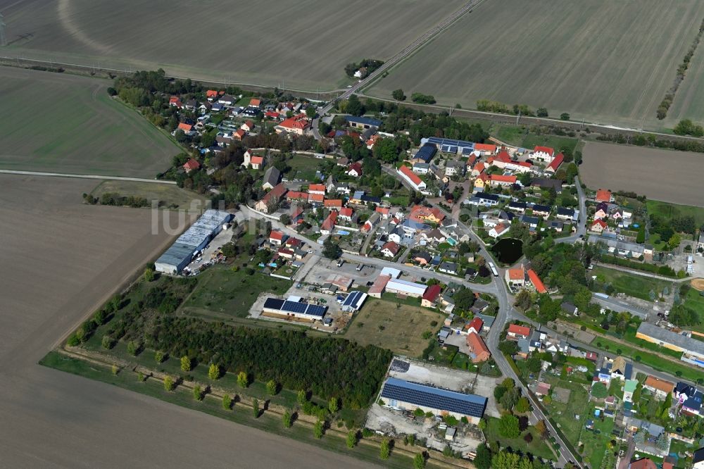 Zwebendorf aus der Vogelperspektive: Ortsansicht am Rande von landwirtschaftlichen Feldern in Zwebendorf im Bundesland Sachsen-Anhalt, Deutschland