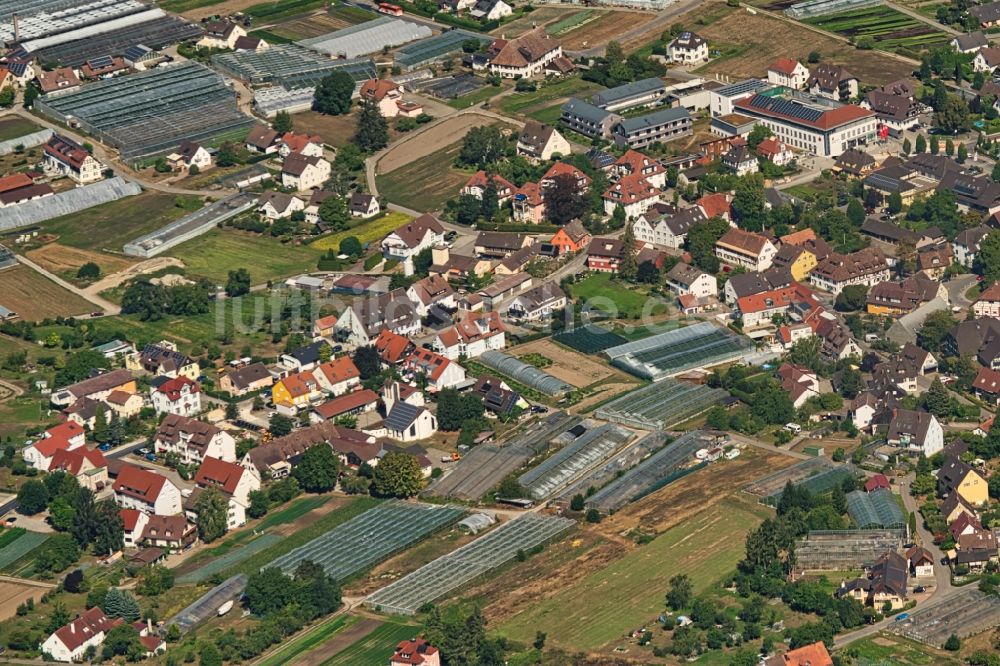 Reichenau von oben - Ortsansicht in Reichenau im Bundesland Baden-Württemberg, Deutschland