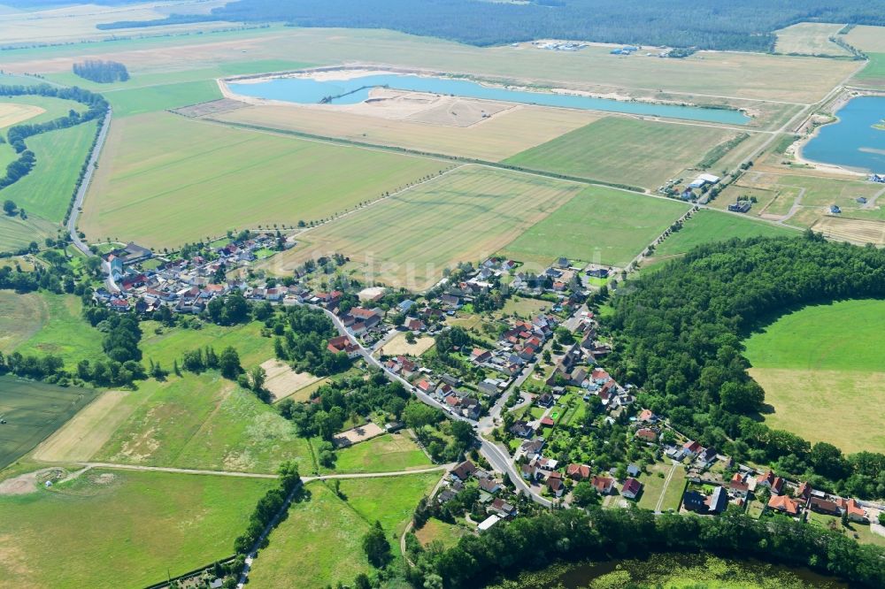 Luftbild Roitzschjora - Ortsansicht in Roitzschjora im Bundesland Sachsen, Deutschland