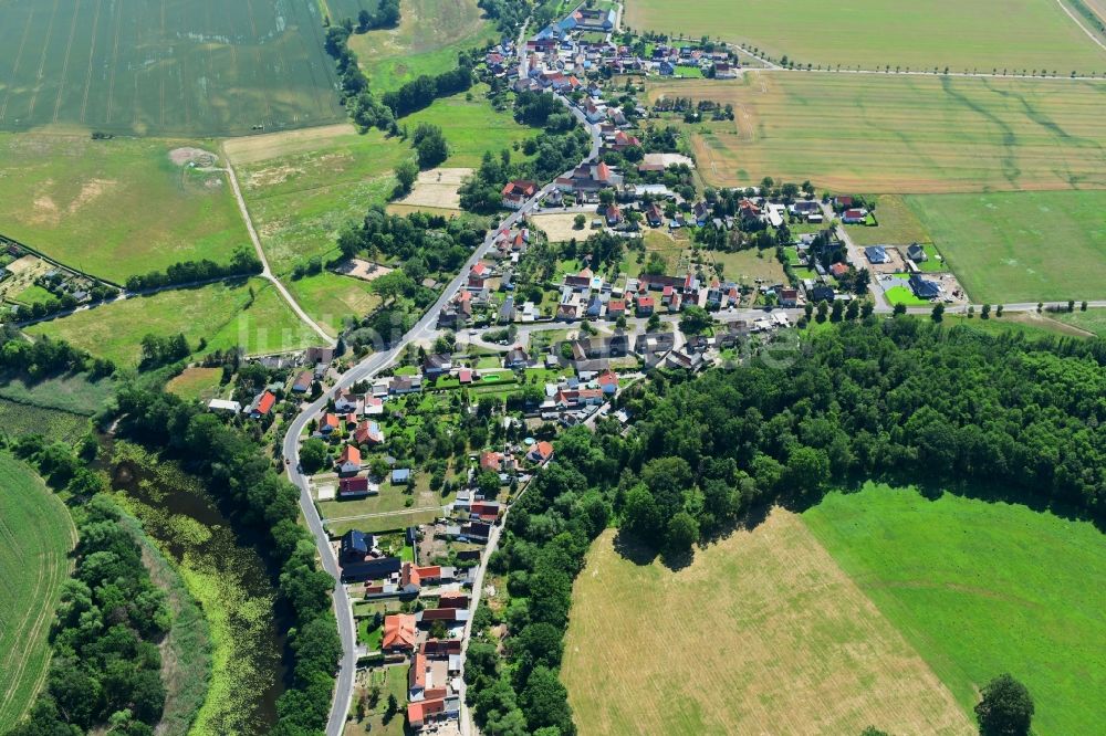 Luftaufnahme Roitzschjora - Ortsansicht in Roitzschjora im Bundesland Sachsen, Deutschland