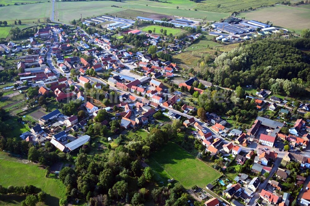 Luftaufnahme Samswegen - Ortsansicht in Samswegen im Bundesland Sachsen-Anhalt