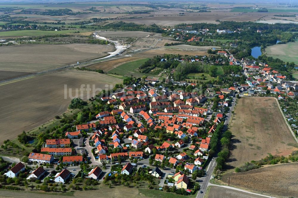 Schiepzig aus der Vogelperspektive: Ortsansicht in Schiepzig im Bundesland Sachsen-Anhalt, Deutschland