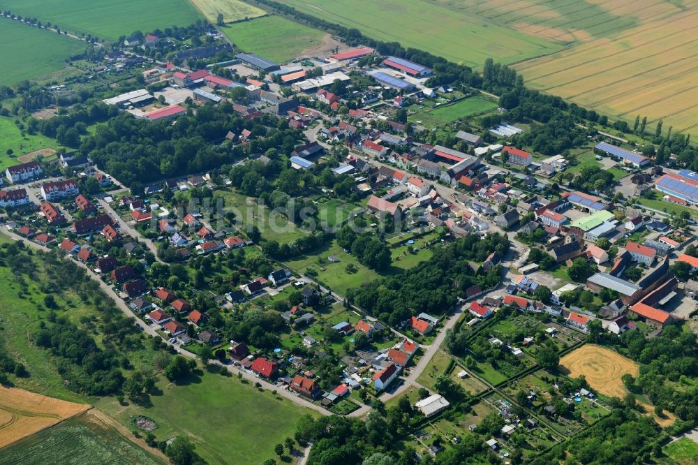 Luftaufnahme Schwaneberg - Ortsansicht in Schwaneberg im Bundesland Sachsen-Anhalt, Deutschland