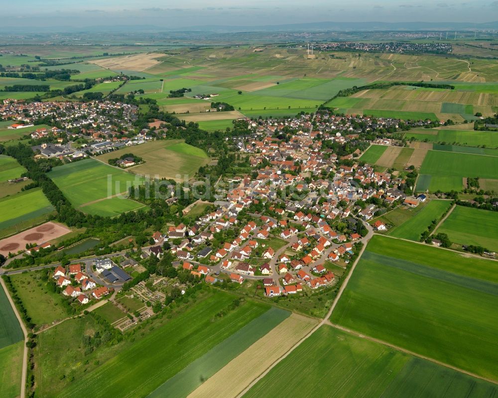 Selzen aus der Vogelperspektive: Ortsansicht von Selzen im Bundesland Rheinland-Pfalz