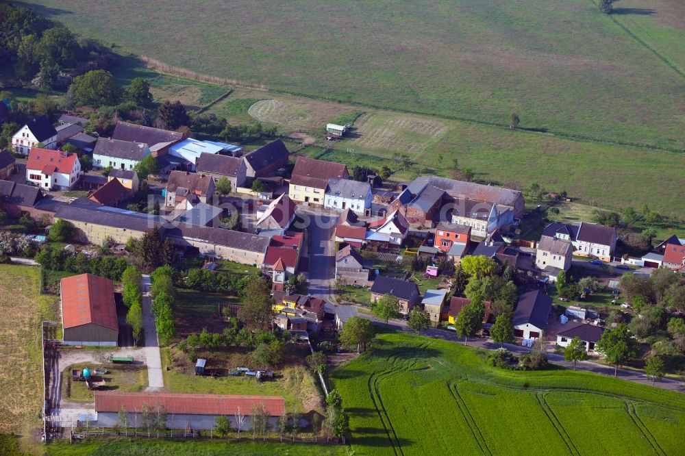 Luftaufnahme Steutz - Ortsansicht in Steutz im Bundesland Sachsen-Anhalt, Deutschland