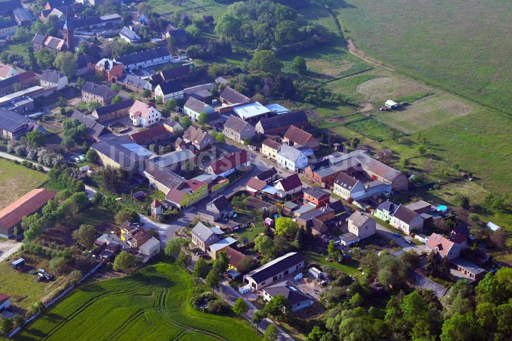Steutz von oben - Ortsansicht in Steutz im Bundesland Sachsen-Anhalt, Deutschland