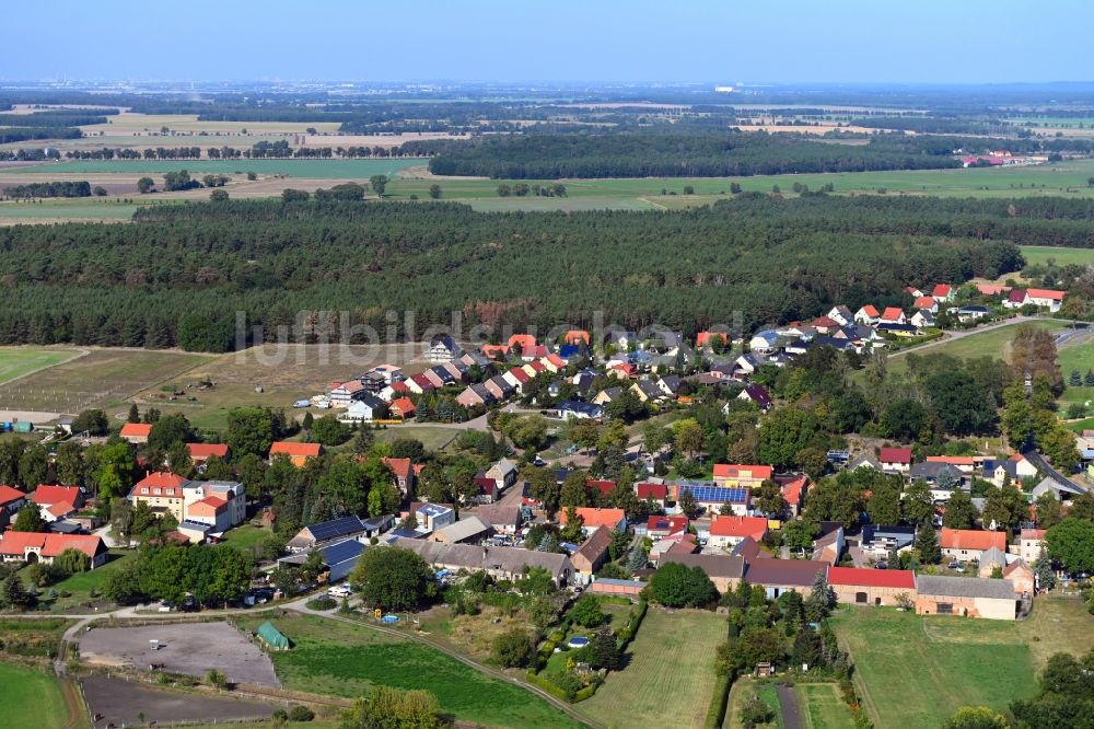 Luftaufnahme Telz - Ortsansicht in Telz im Bundesland Brandenburg, Deutschland