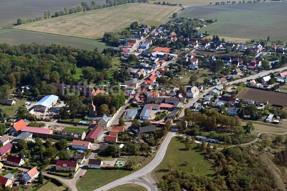 Trinum von oben - Ortsansicht in Trinum im Bundesland Sachsen-Anhalt, Deutschland