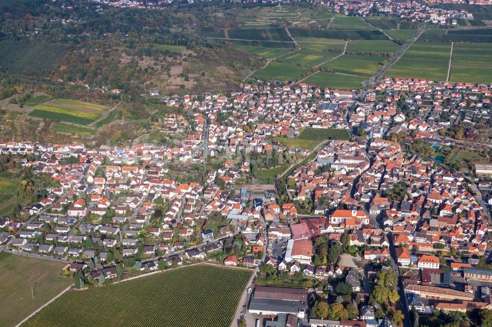 Luftaufnahme Wachenheim an der Weinstraße - Ortsansicht in Wachenheim an der Weinstraße im Bundesland Rheinland-Pfalz, Deutschland