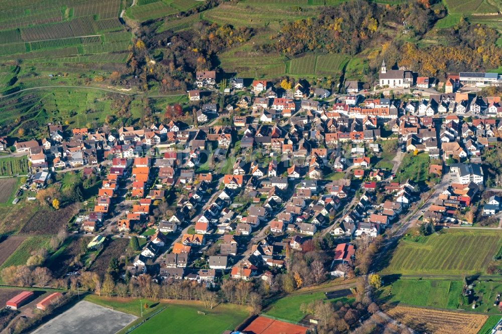 Luftbild Wasenweiler - Ortsansicht in Wasenweiler im Bundesland Baden-Württemberg, Deutschland